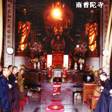 南普陀寺圖片