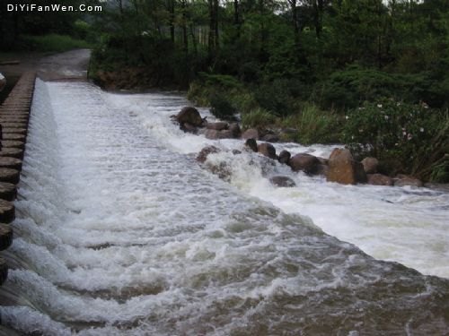 十萬大山國家森林公園圖片
