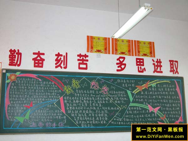 元旦黑板報展示(2)