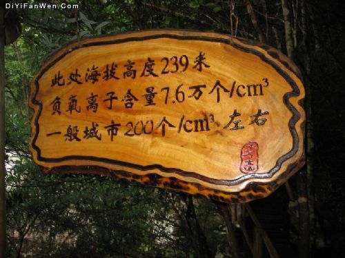 十萬大山國家森林公園圖片