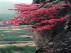 九仙山