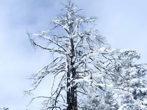西嶺雪山圖片
