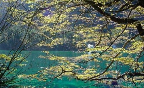 四川雙龍海圖片
