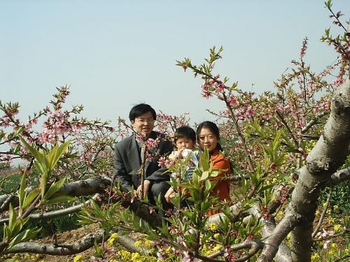 桃花源風景圖片