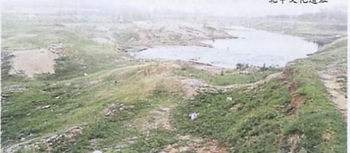 北辛遺址圖片