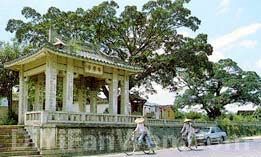 鋤奸揚名木棉庵圖片