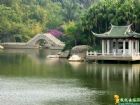 廈門園林植物園