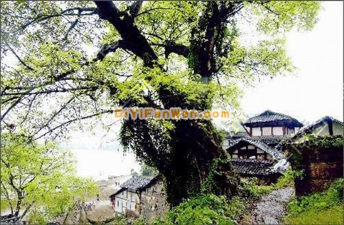 四川沿口古鎮風光圖片