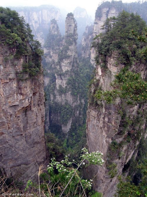 筆墨山水張家界圖片