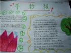 關於防溺水的手抄報：冬泳急救方法