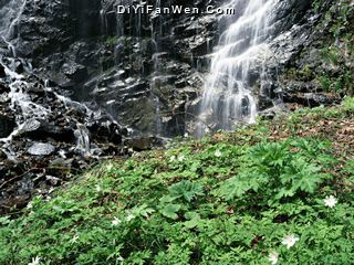 南華山圖片