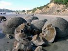 紐西蘭南島