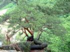 吉林仙景台