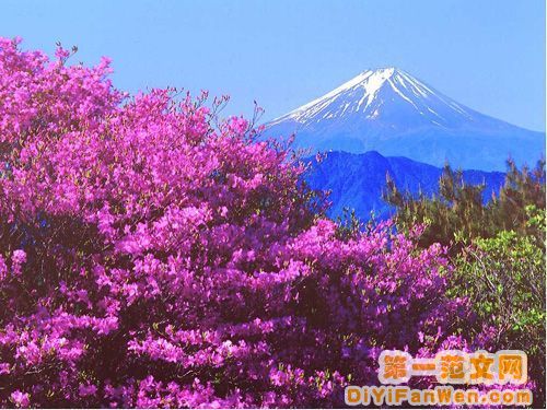 富士山風光圖片