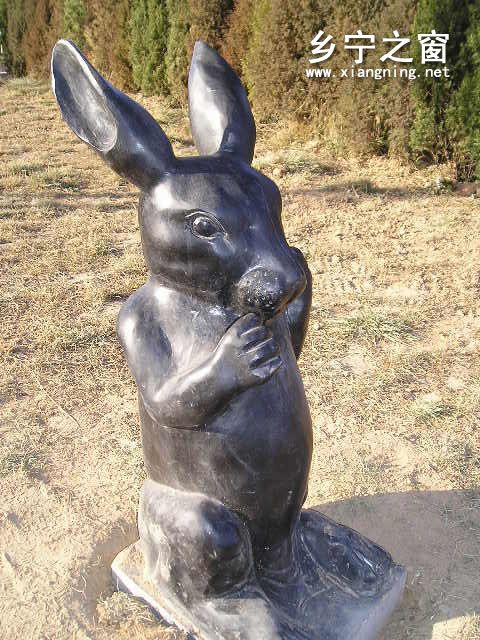 北山公園圖片