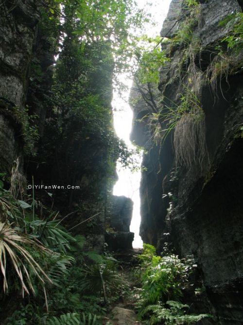 湖北梭布埡石林圖片
