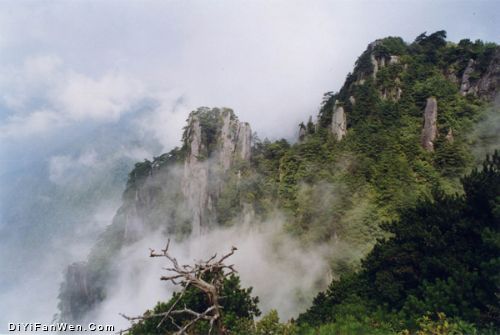 明月山國家森林公園圖片