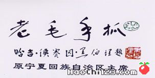 老毛手抓