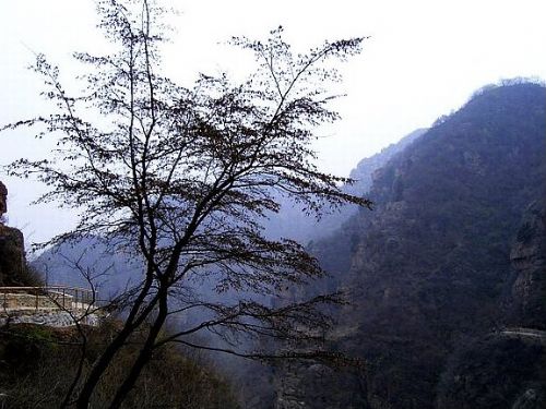 石林峽圖片