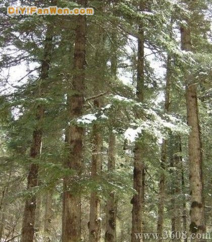 四川劍岩景區圖片