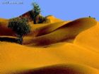新疆塔克拉瑪乾沙漠