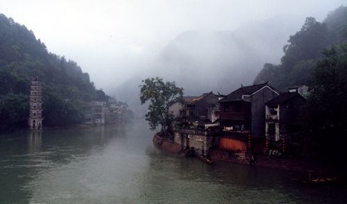 鳳凰圖片
