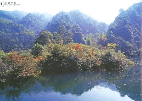 雙牌陽明山圖片