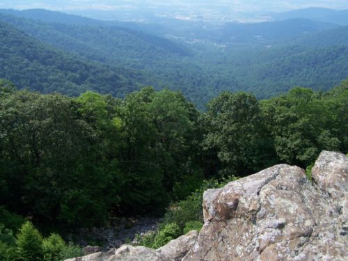 ShenandoahNationalPark,又名雪蘭多國家公園圖片