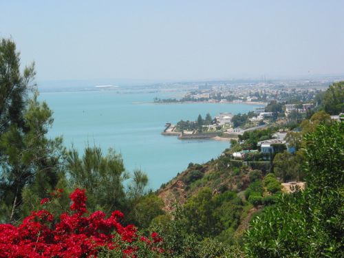 突尼西亞風光圖片