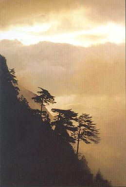 八嶺山古墓群圖片