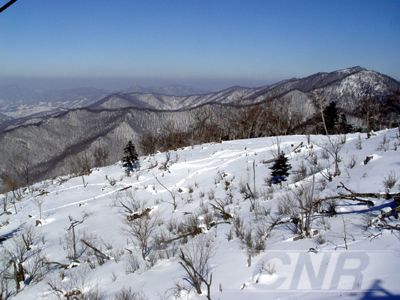 北大湖滑雪場圖片