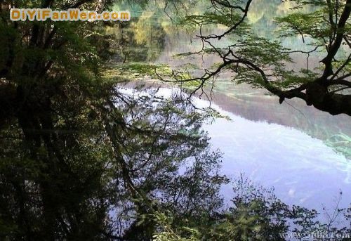 四川臥龍海圖片