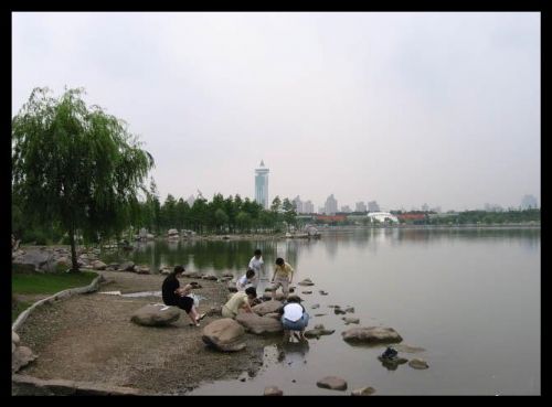 上海世紀公園圖片