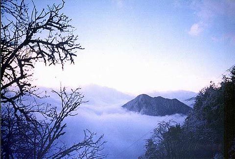 黑竹溝圖片
