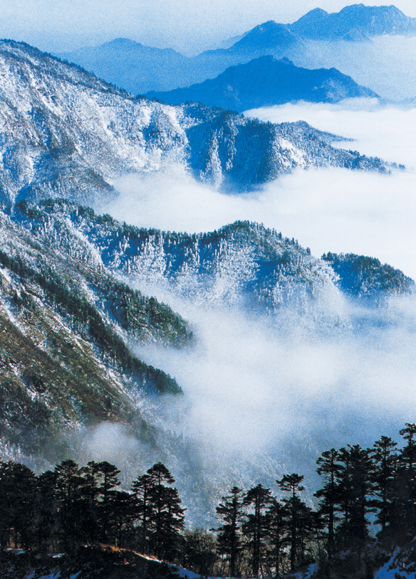西嶺雪山圖片