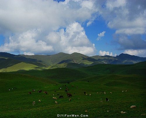 雲南大海草山圖片
