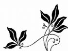 黑板報花邊：美妙的花