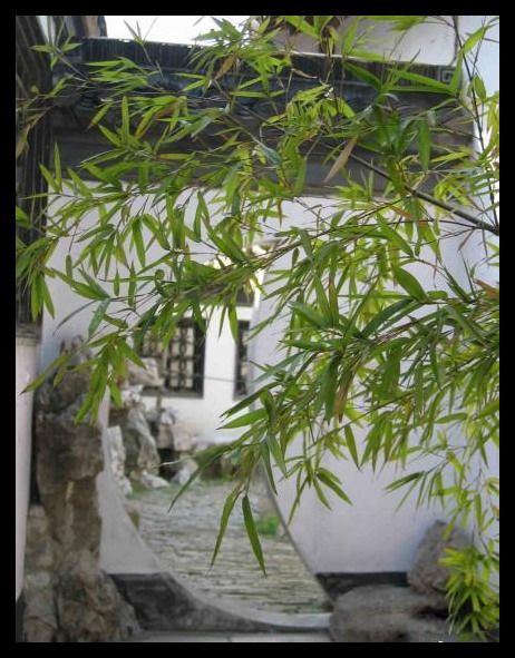 江蘇何園圖片