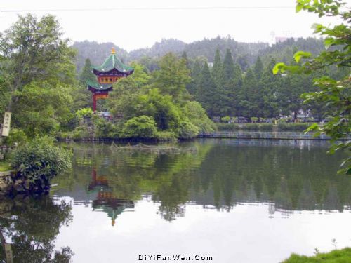 茨坪圖片