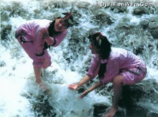 浙西大竹海圖片