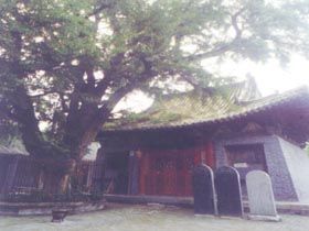 大雲寺圖片