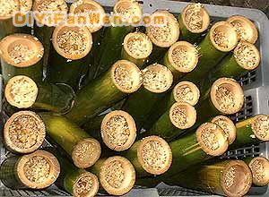 春天享用美味素粥(圖)