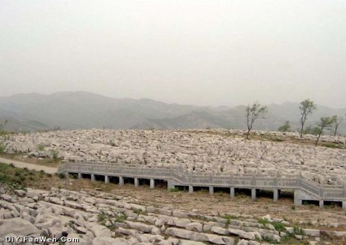 原山國家森林公園圖片