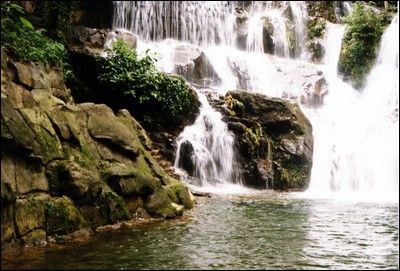 鼎湖山圖片