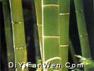 龍虎山圖片