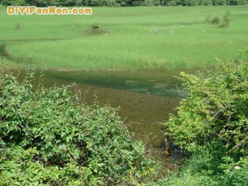 四川芳草海圖片