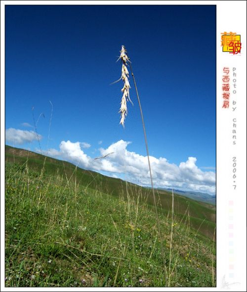 甘南風情圖片