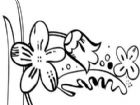黑板報花邊：喇叭花邊