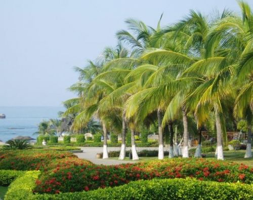 大東海圖片