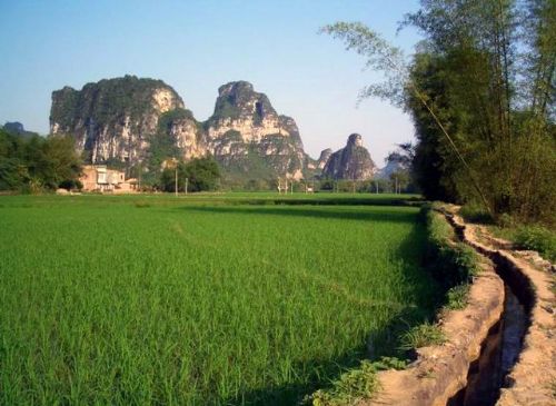 廣西明仕田園美景圖片
